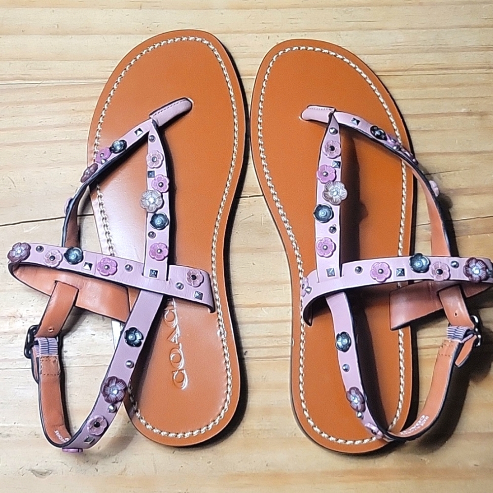 Coach Hudson Tea Rose Sandals